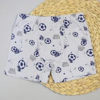 Трусы боксеры для мальчика DR 3352-3341 Светло-серый Мячи