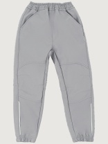 Брюки Софтшелл NIKASTYLE 2л17225 Серый