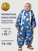 Комбинезон утеплённый для мальчика NIKASTYLE 8м0125 Неви