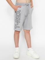 Шорты для мальчика CWKB 70444-11-387 Серый меланж