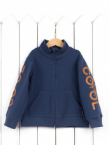 Куртка для мальчика Baby Boom Р56/1-Ф Б105 Синий COOL