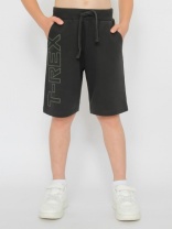 Шорты для мальчика CWKB 70444-48-387 Темно-серый